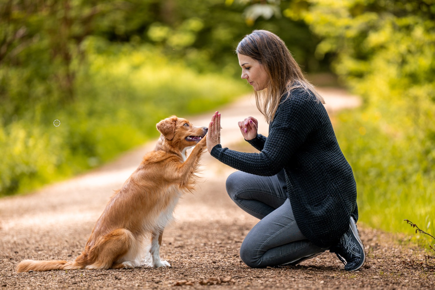 Sophart Photography Hunde Fotoshooting mit Besitzer