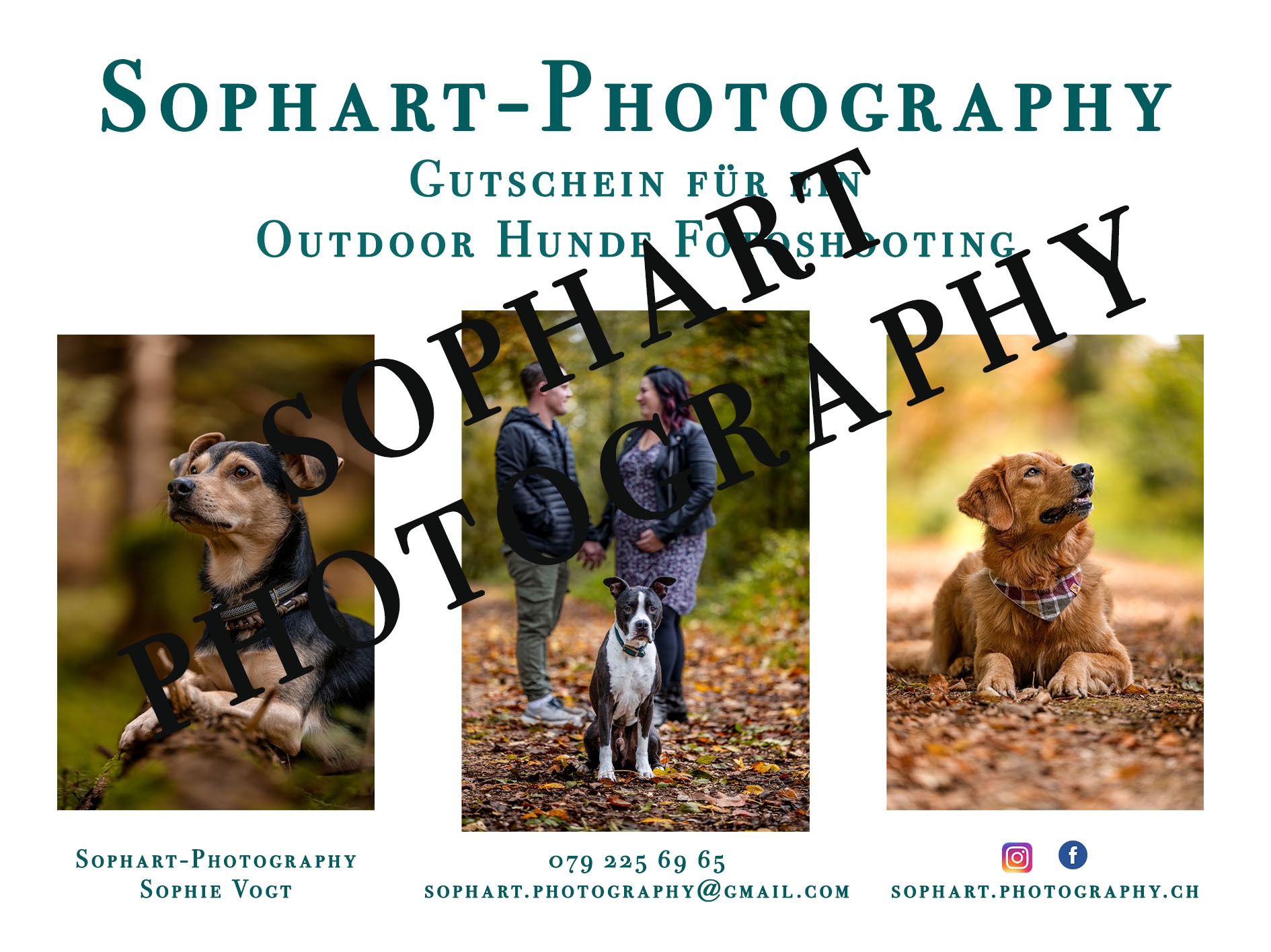 Sophart Photography
Hundefotografie Angebote – Outdoor & Studio Gutschein