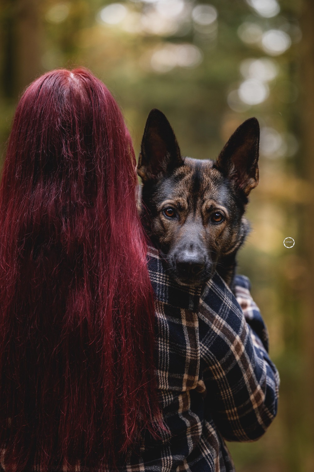 Sophart Photography Hunde Fotoshooting mit Besitzer