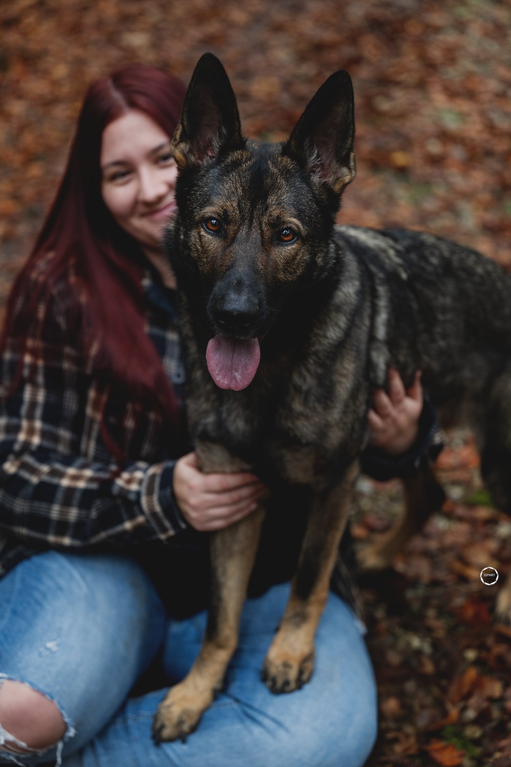 Sophart Photography Hunde Fotoshooting mit Besitzer