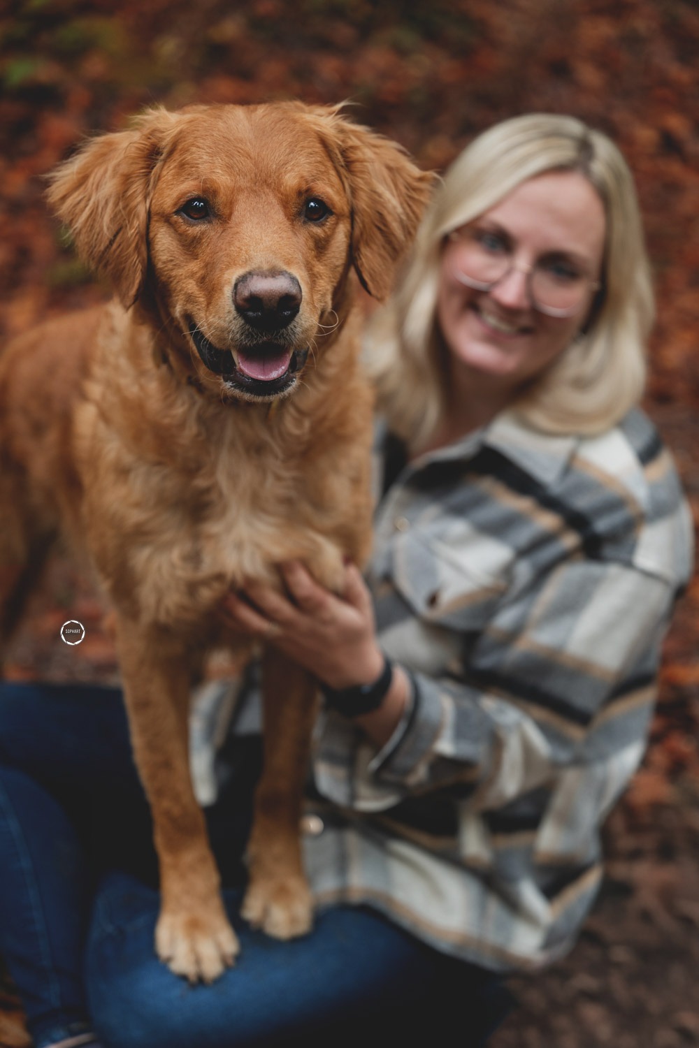 Sophart Photography Hunde Fotoshooting mit Besitzer