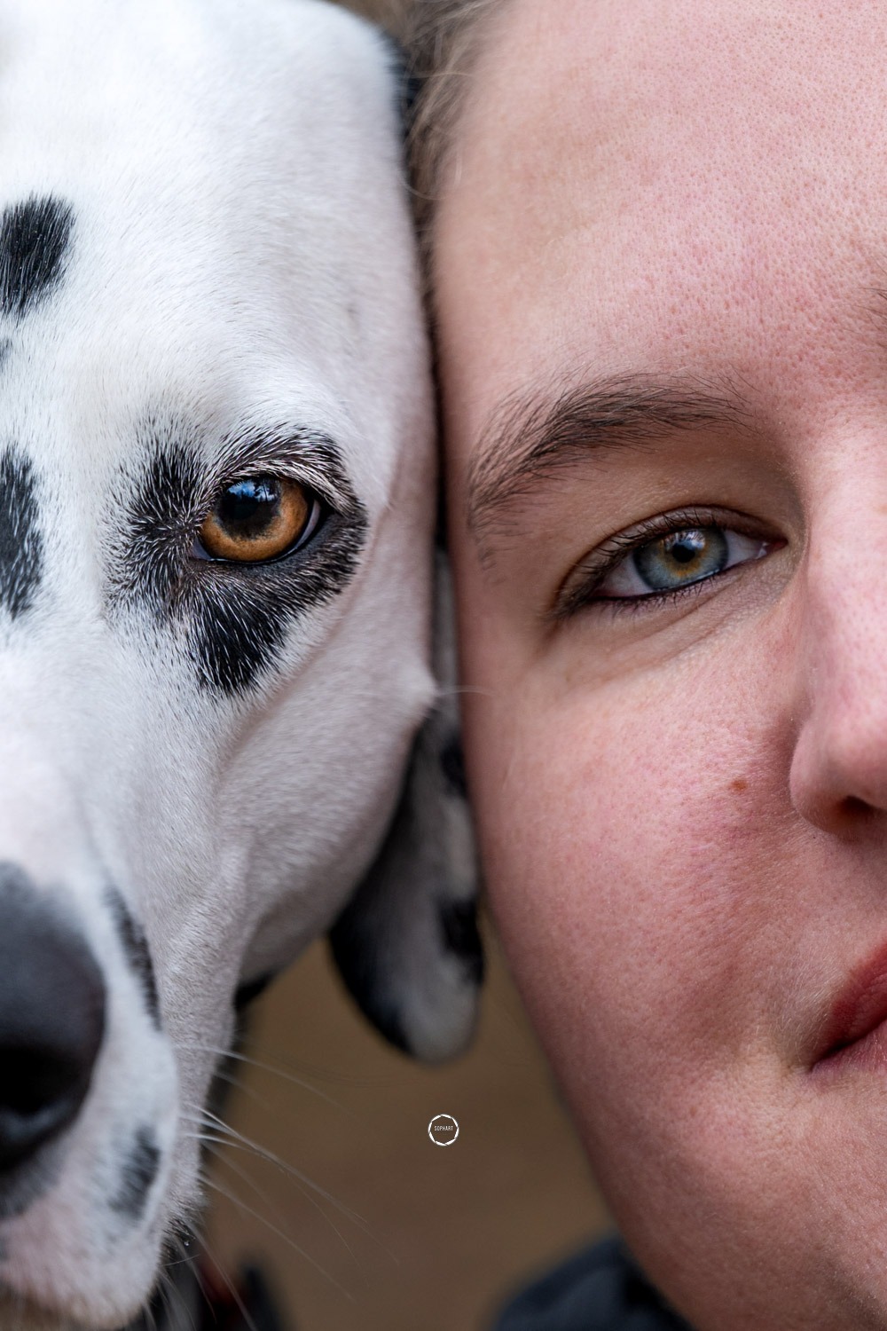 Sophart Photography Hunde Fotoshooting mit Besitzer