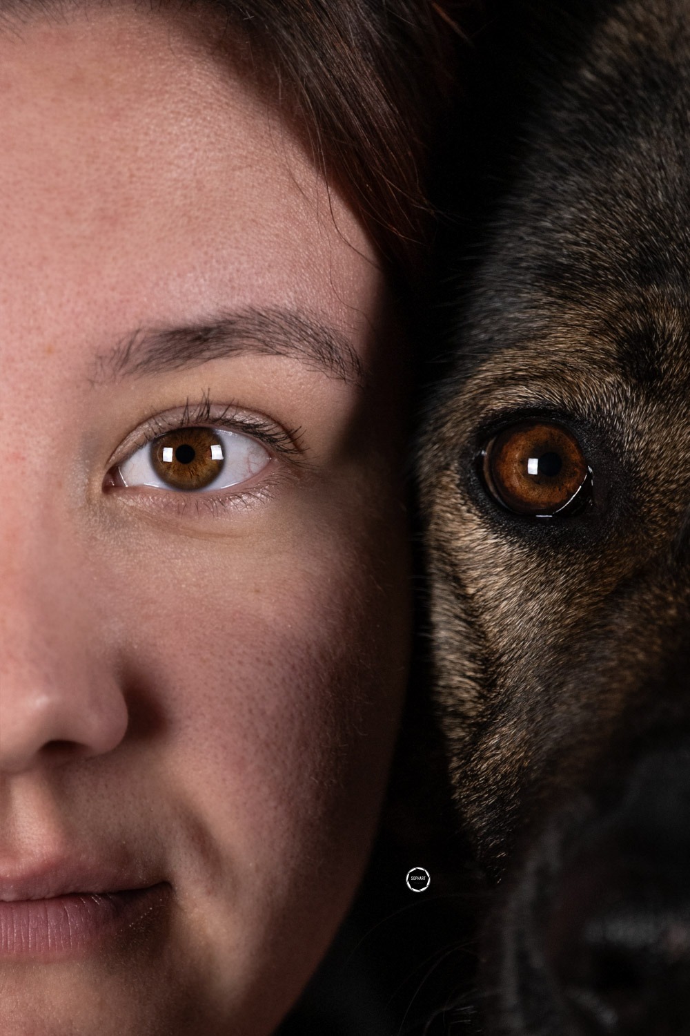 Sophart Photography Hunde Fotoshooting mit Besitzer