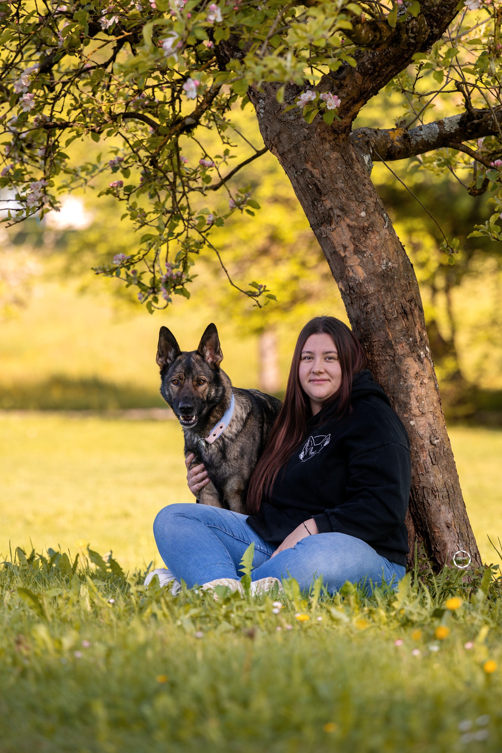 Sophart Photography Hunde Fotoshooting mit Besitzer