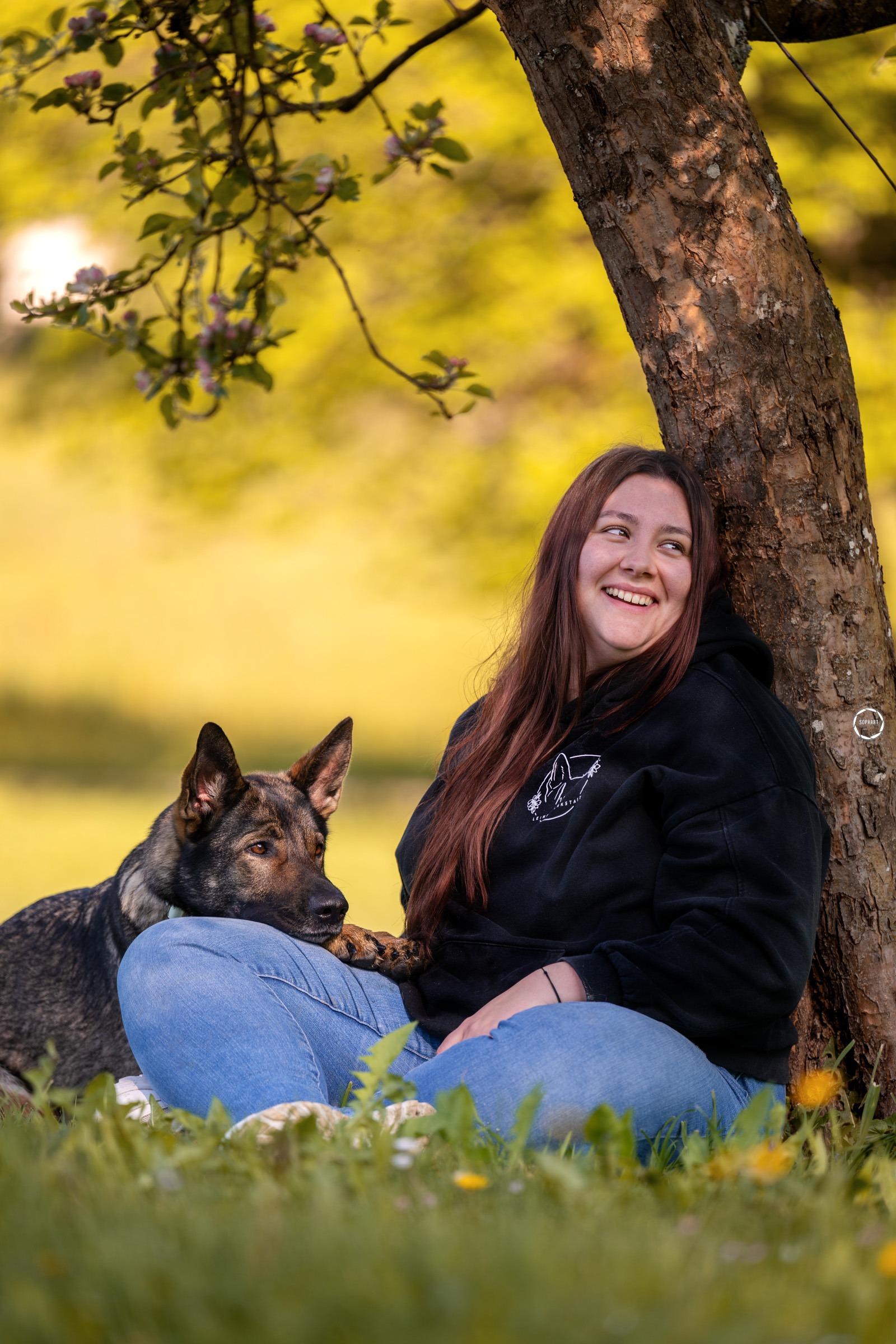 Sophart Photography Hunde Fotoshooting mit Besitzer