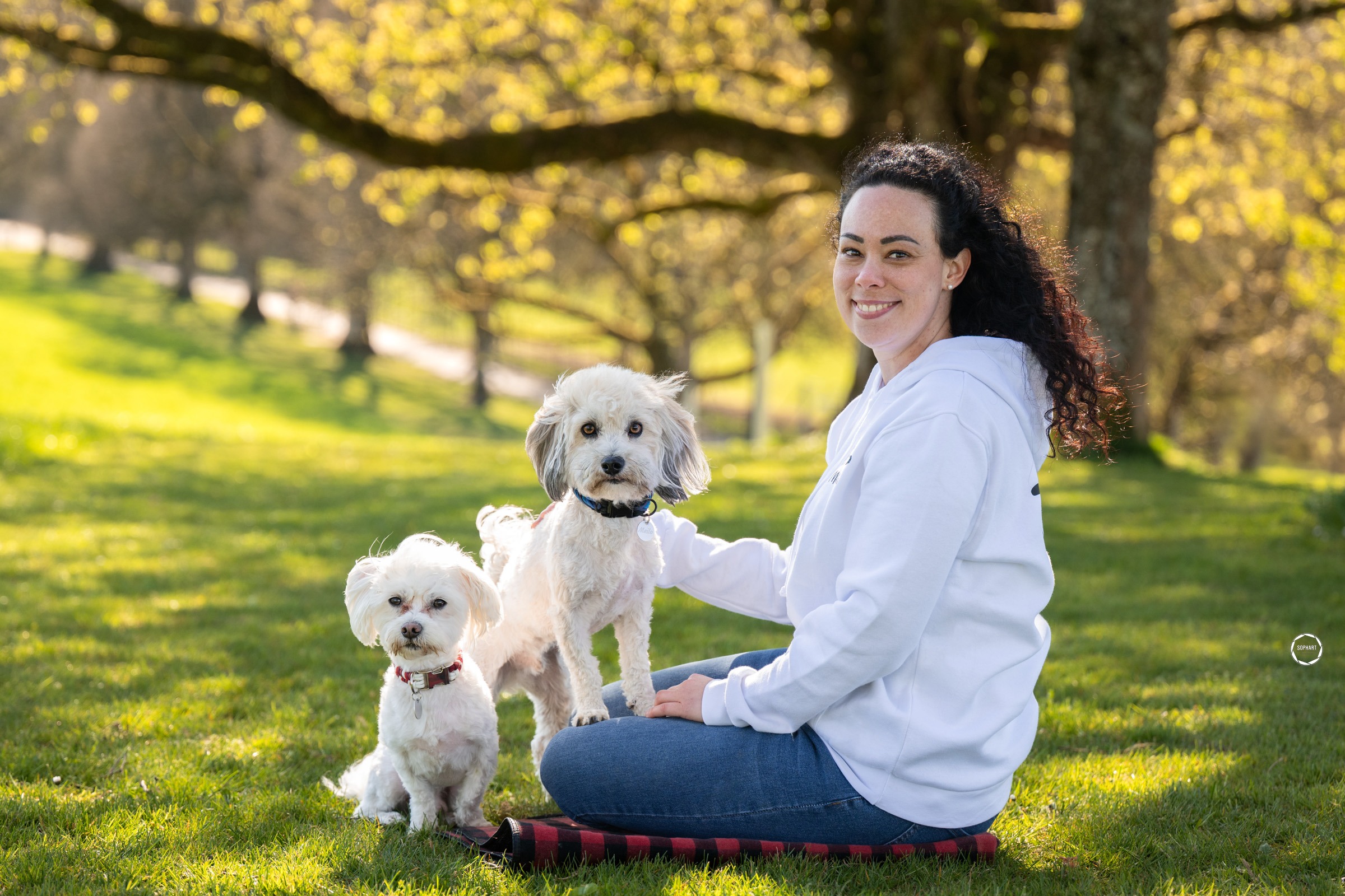 Sophart Photography Hunde Fotoshooting mit Besitzer