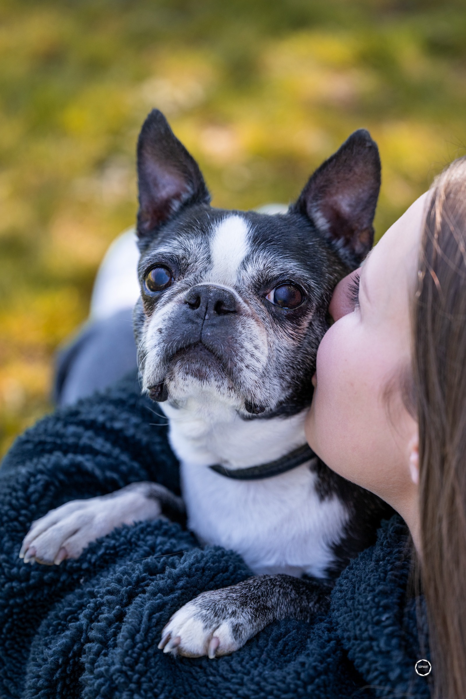 Sophart Photography Hunde Fotoshooting mit Besitzer
