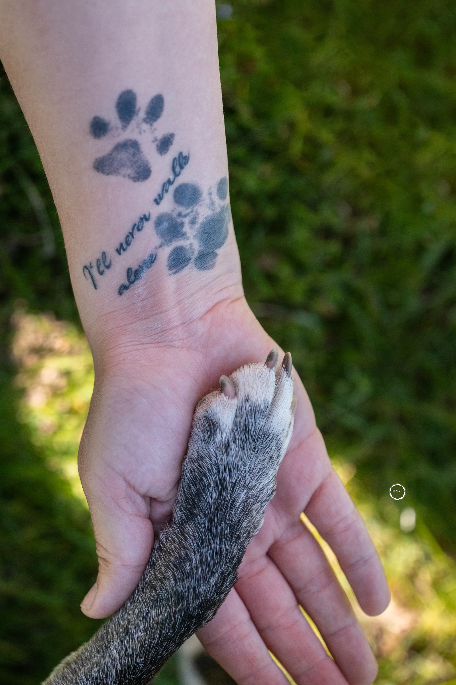 Sophart Photography Hunde Fotoshooting mit Besitzer