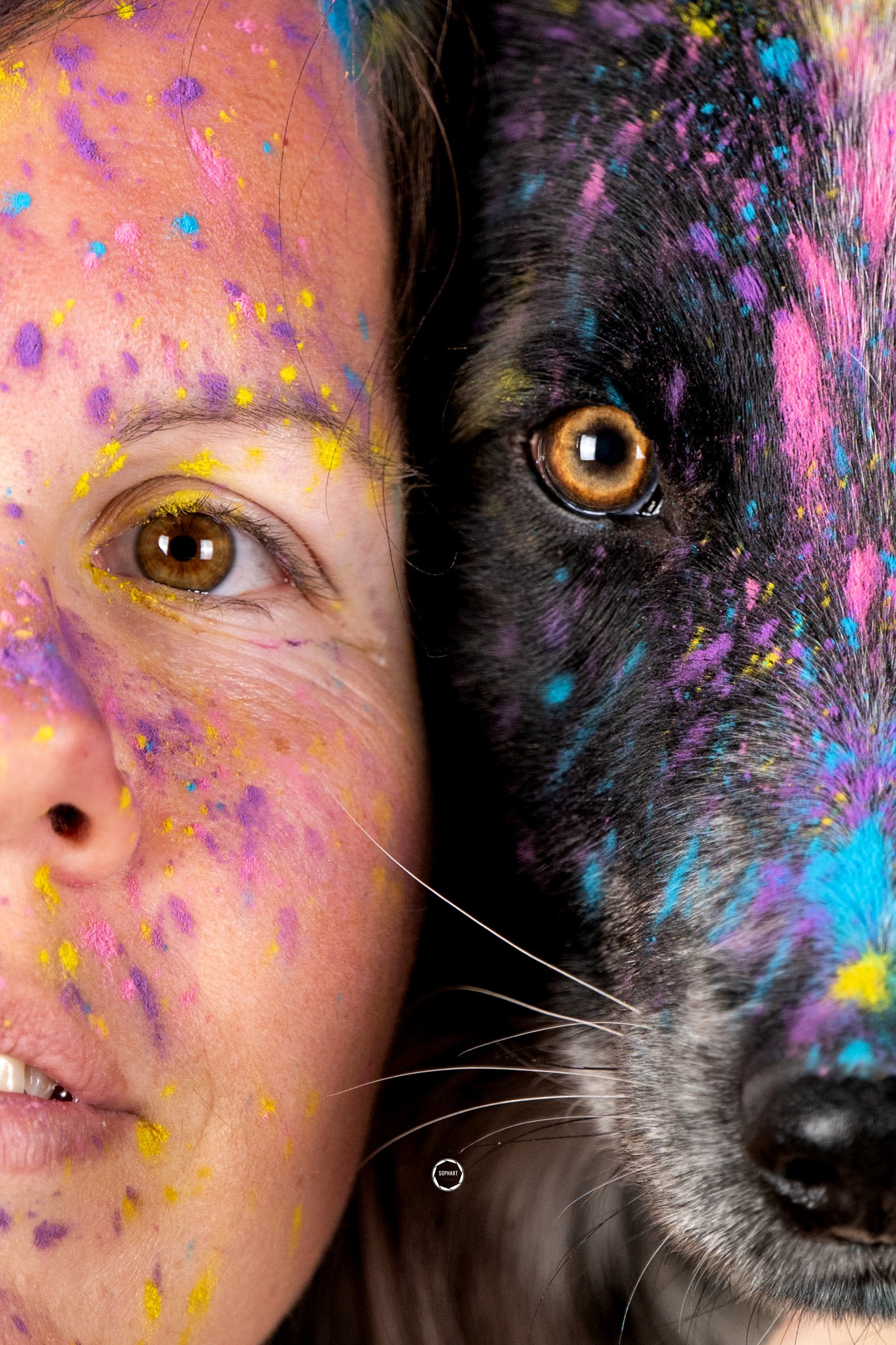 Sophart Photography Hunde Fotoshooting mit Besitzer