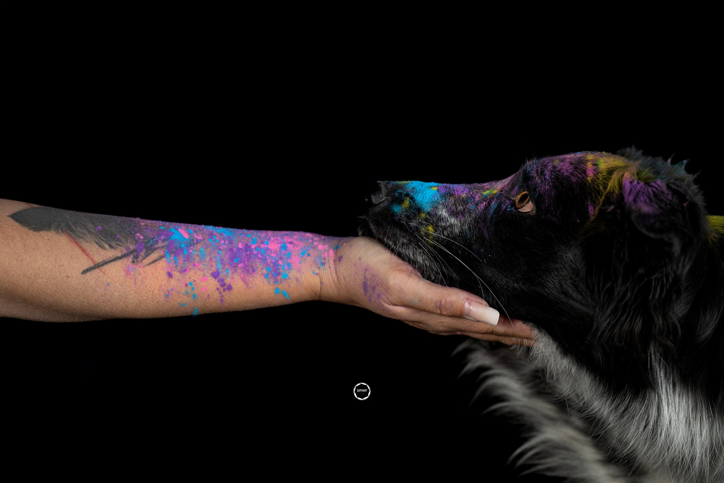 Sophart Photography Hunde Fotoshooting mit Besitzer