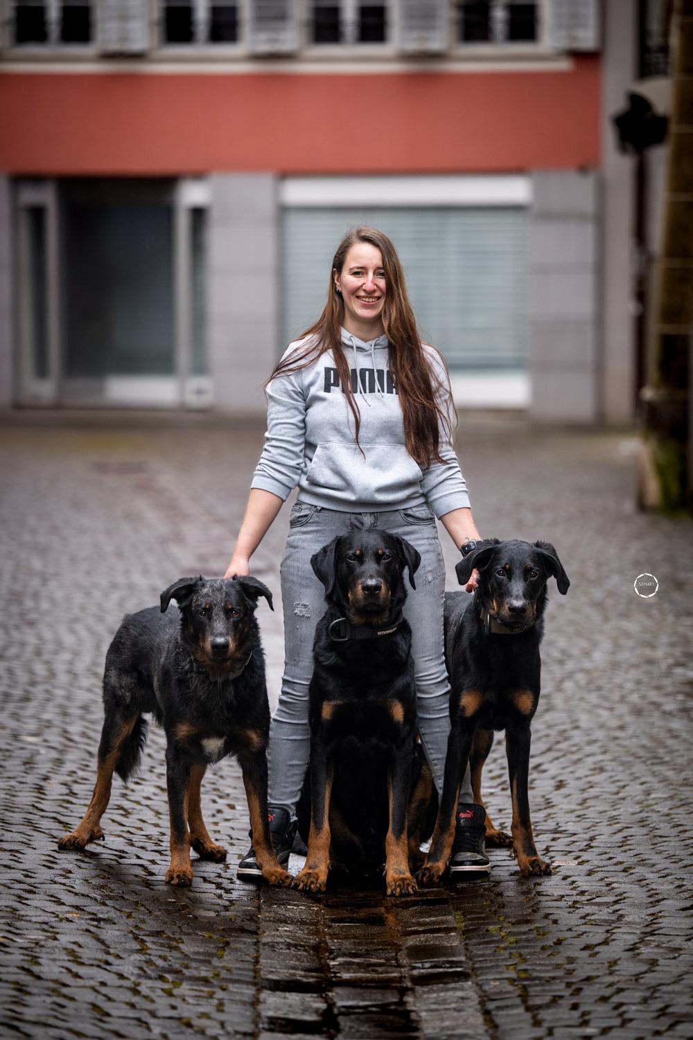 Sophart Photography Hunde Fotoshooting mit Besitzer