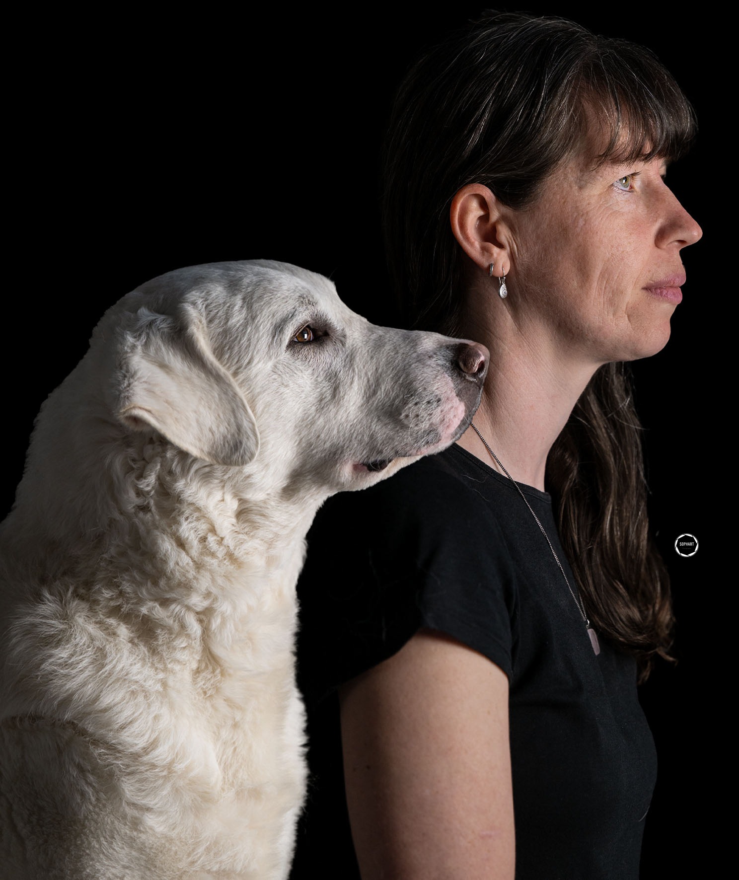 Sophart Photography Hunde Fotoshooting mit Besitzer