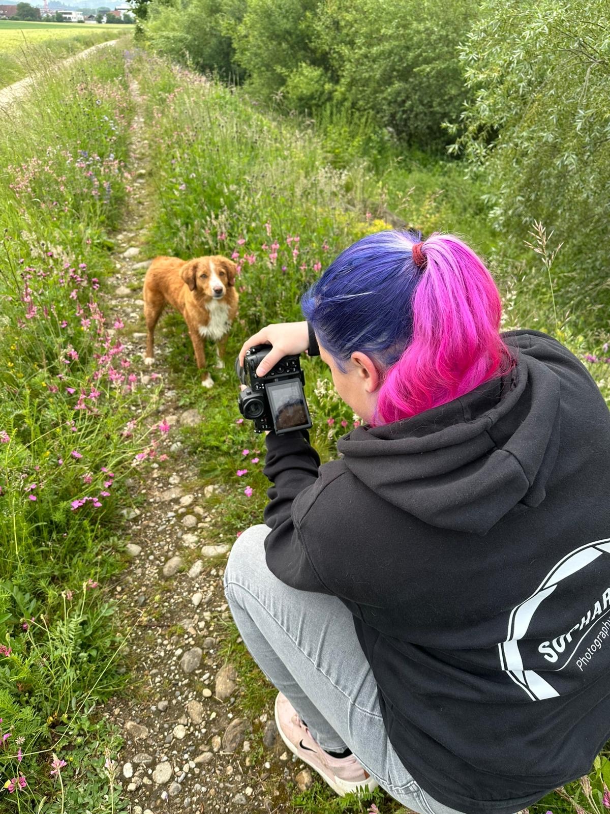 Hundefotografin Kanton Aargau