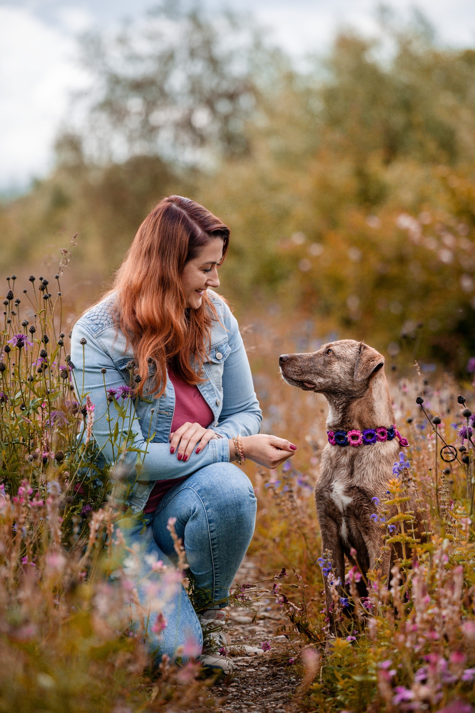 Sophart Photography Hunde Fotoshooting mit Besitzer