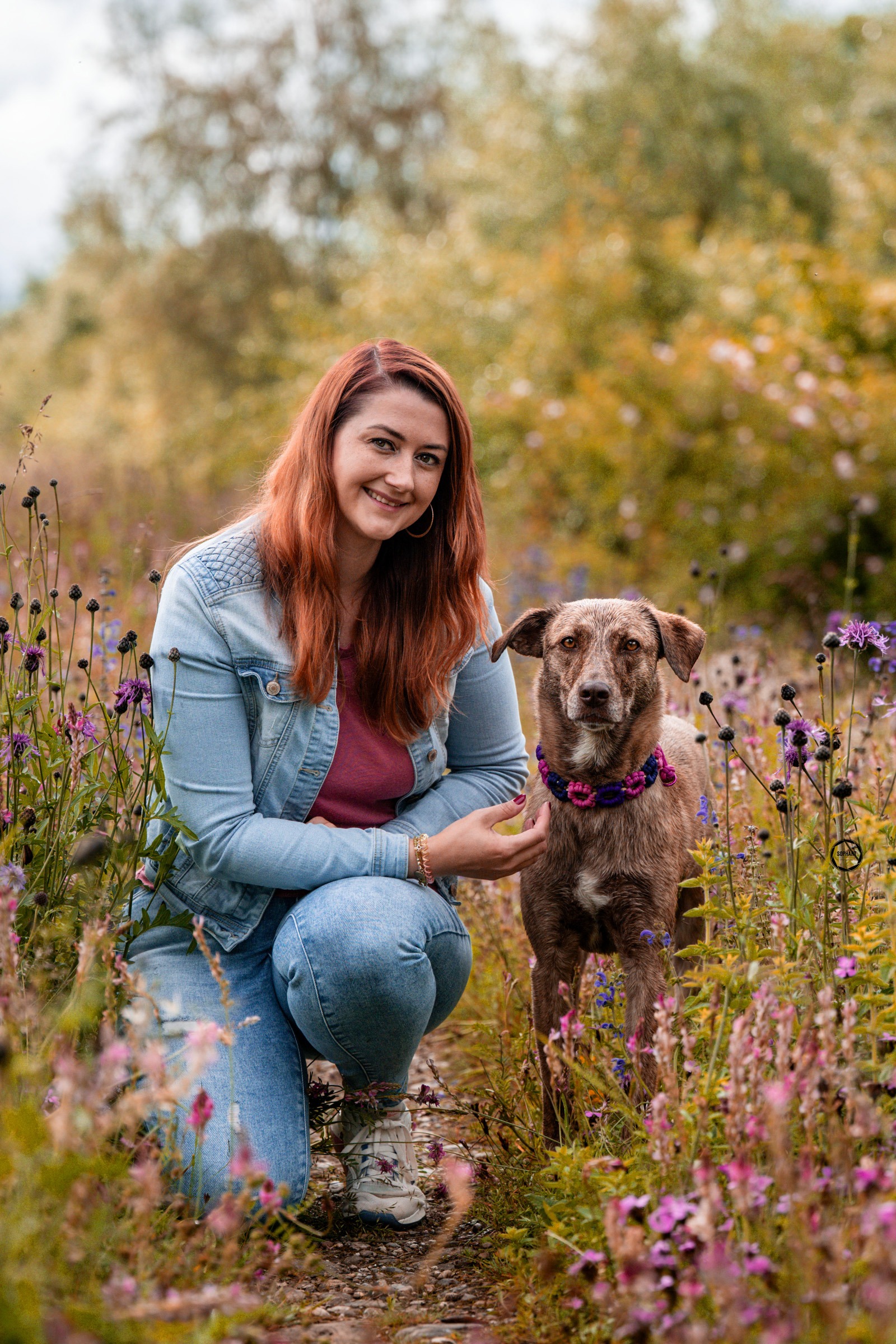 Sophart Photography Hunde Fotoshooting mit Besitzer