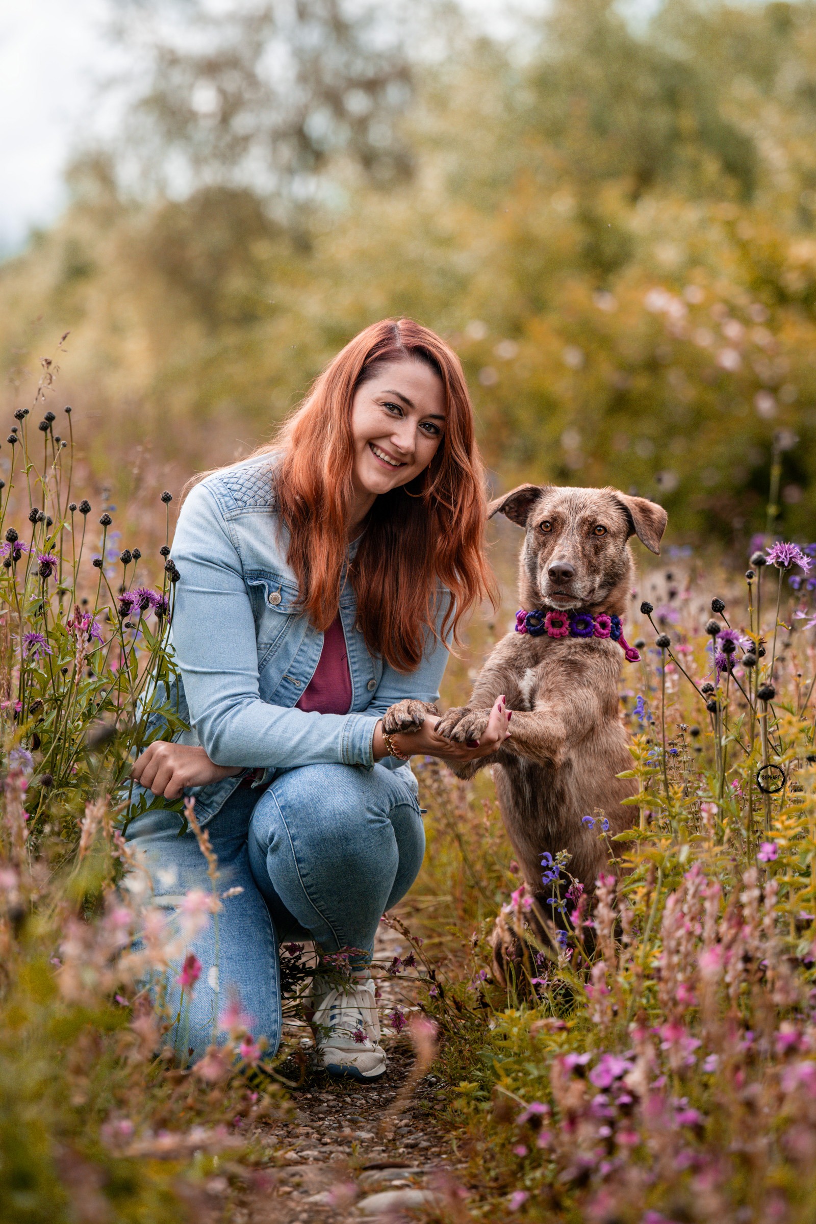 Sophart Photography Hunde Fotoshooting mit Besitzer