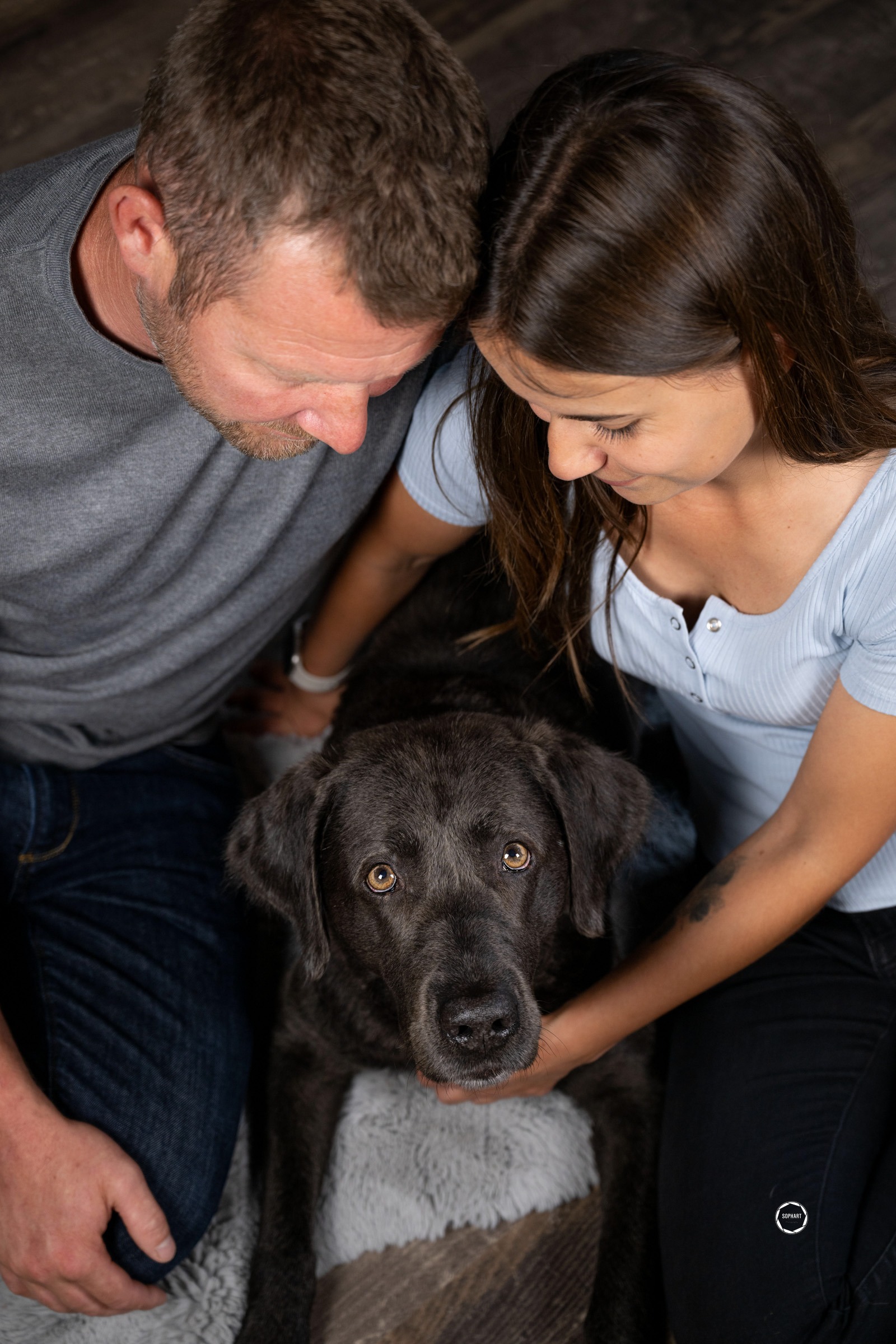 Sophart Photography Hunde Fotoshooting mit Besitzer