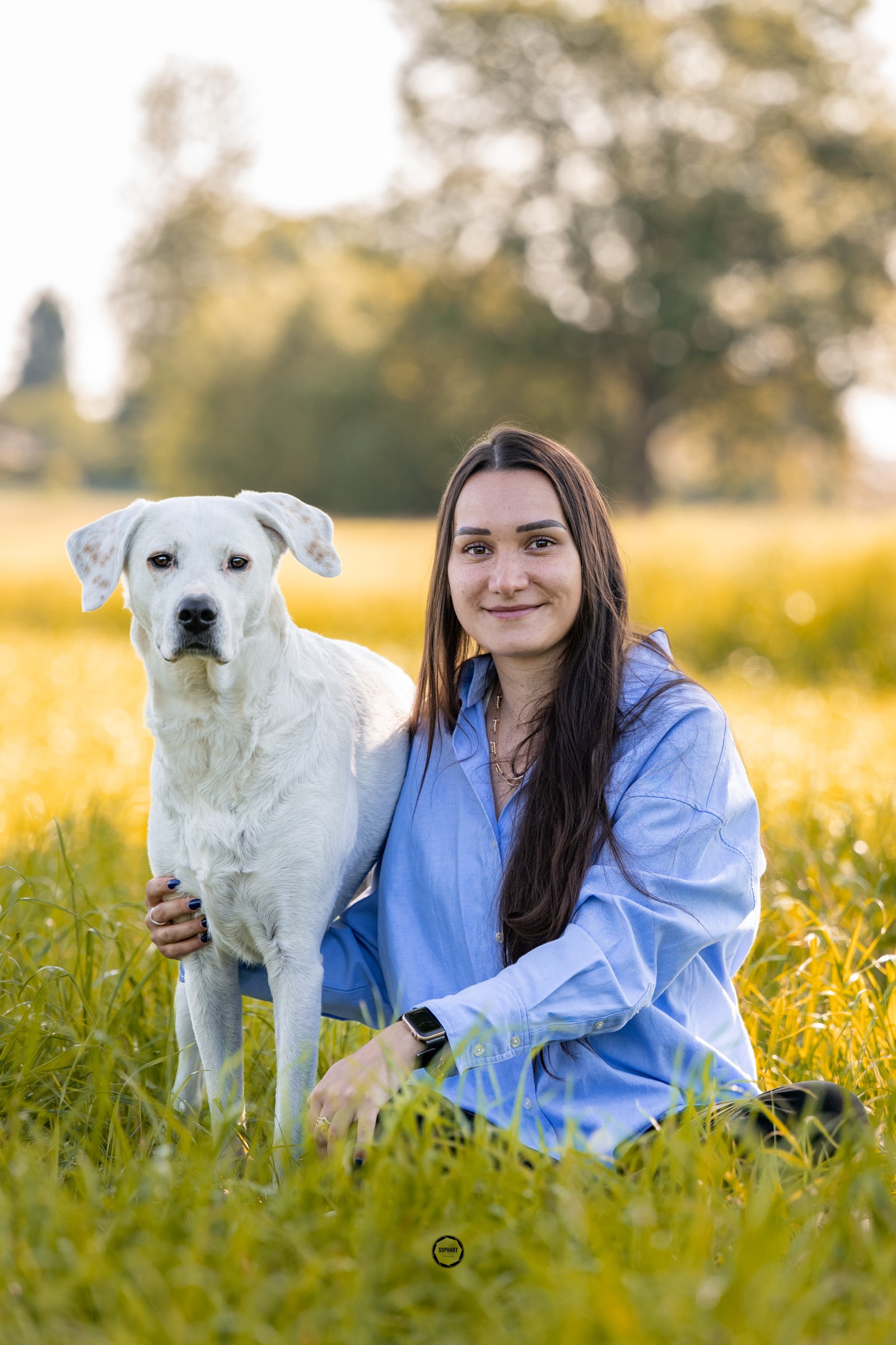 Sophart Photography Hunde Fotoshooting mit Besitzer