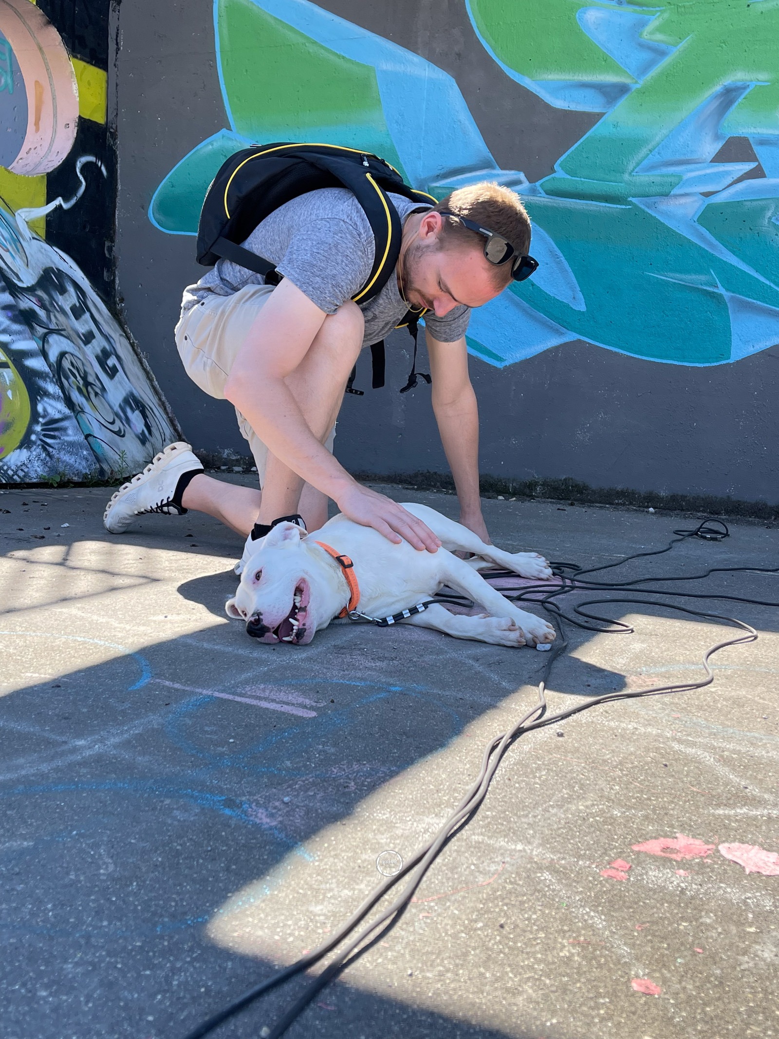 Hundefotografin Kanton Aargau