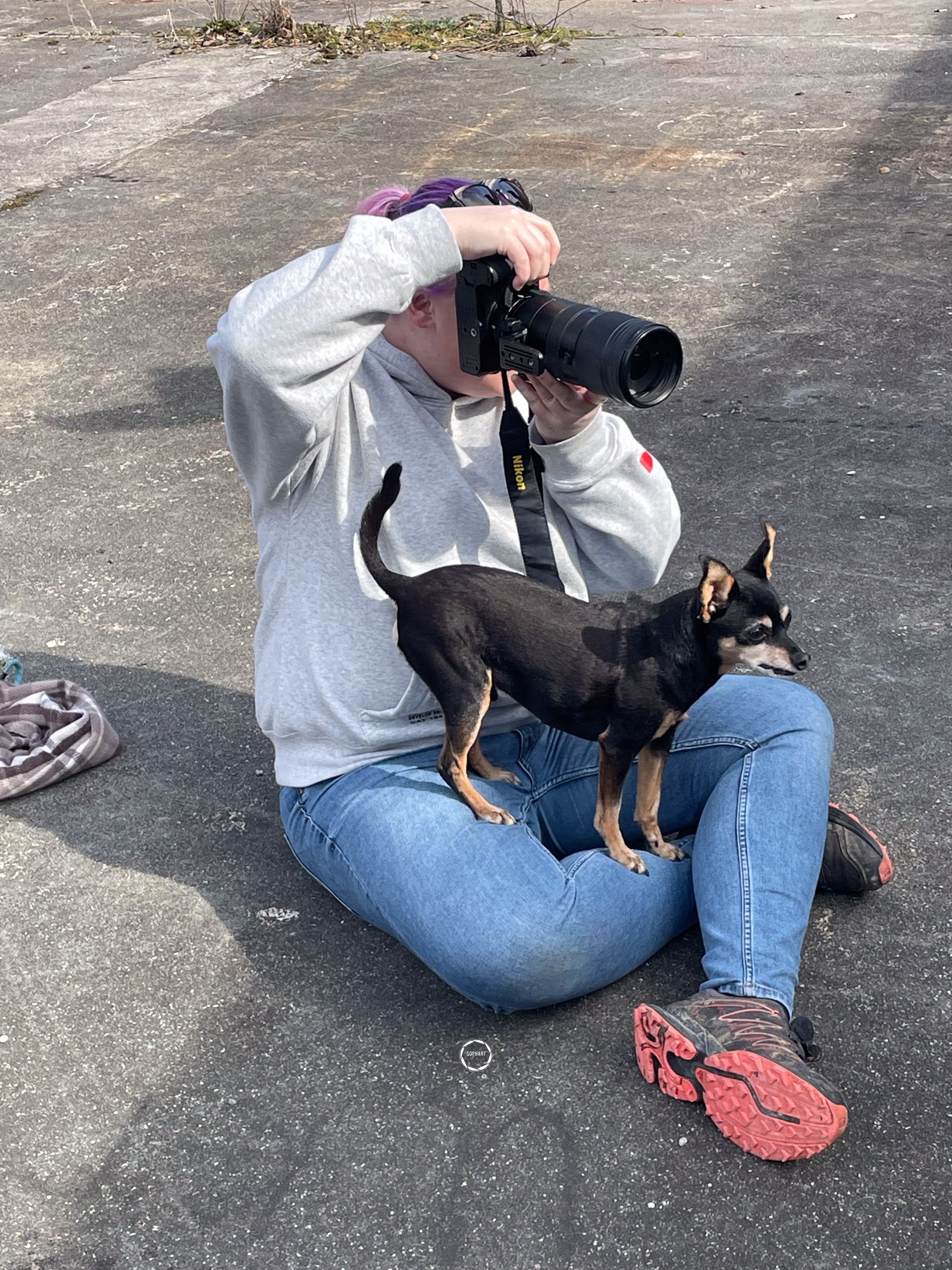 Hundefotografin Kanton Aargau