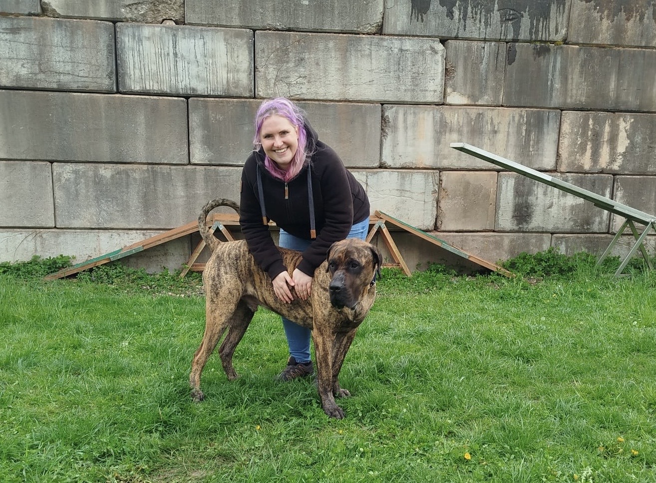 Hundefotografin Kanton Aargau