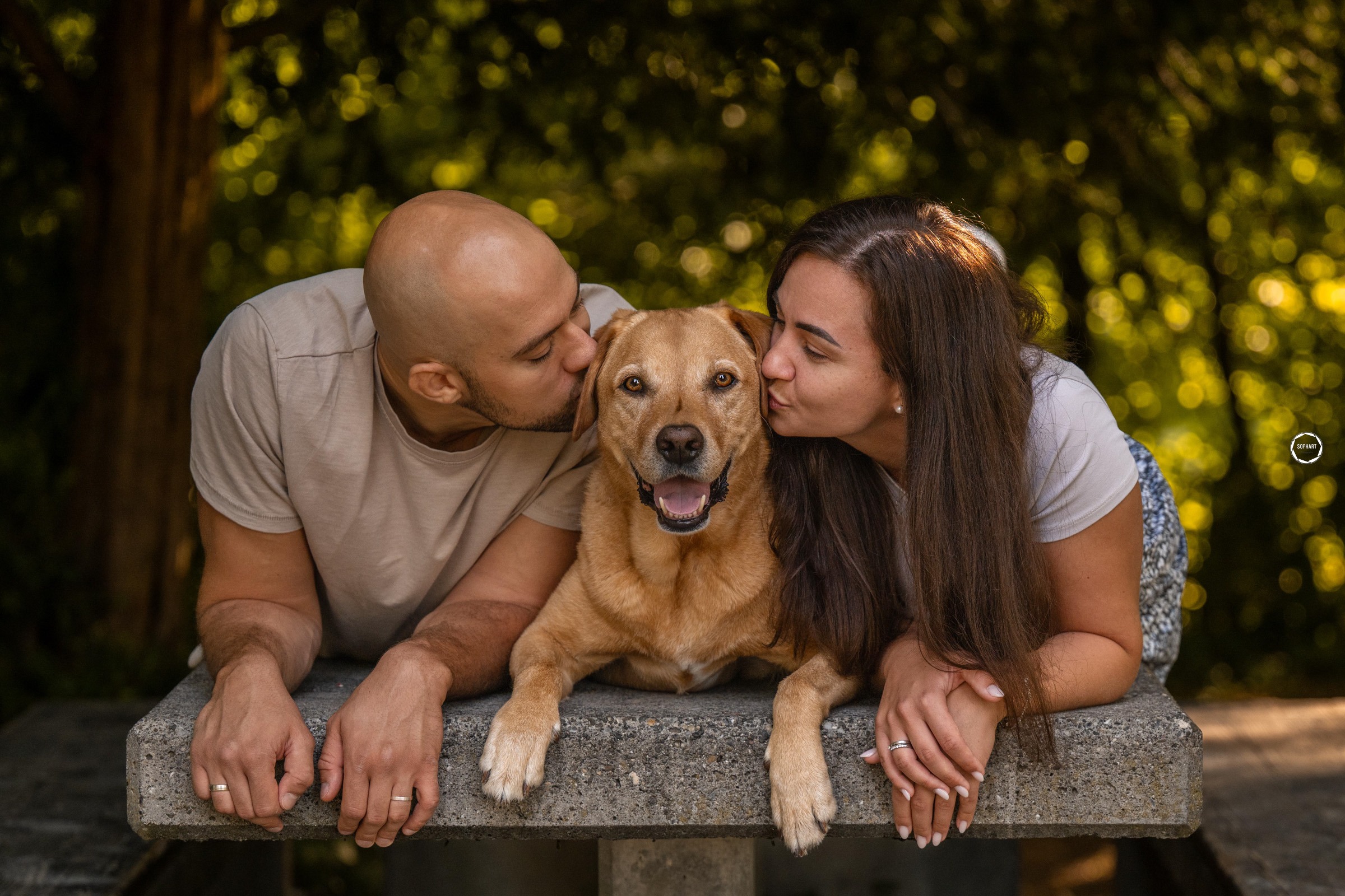 Sophart Photography Hunde Fotoshooting mit Besitzer
