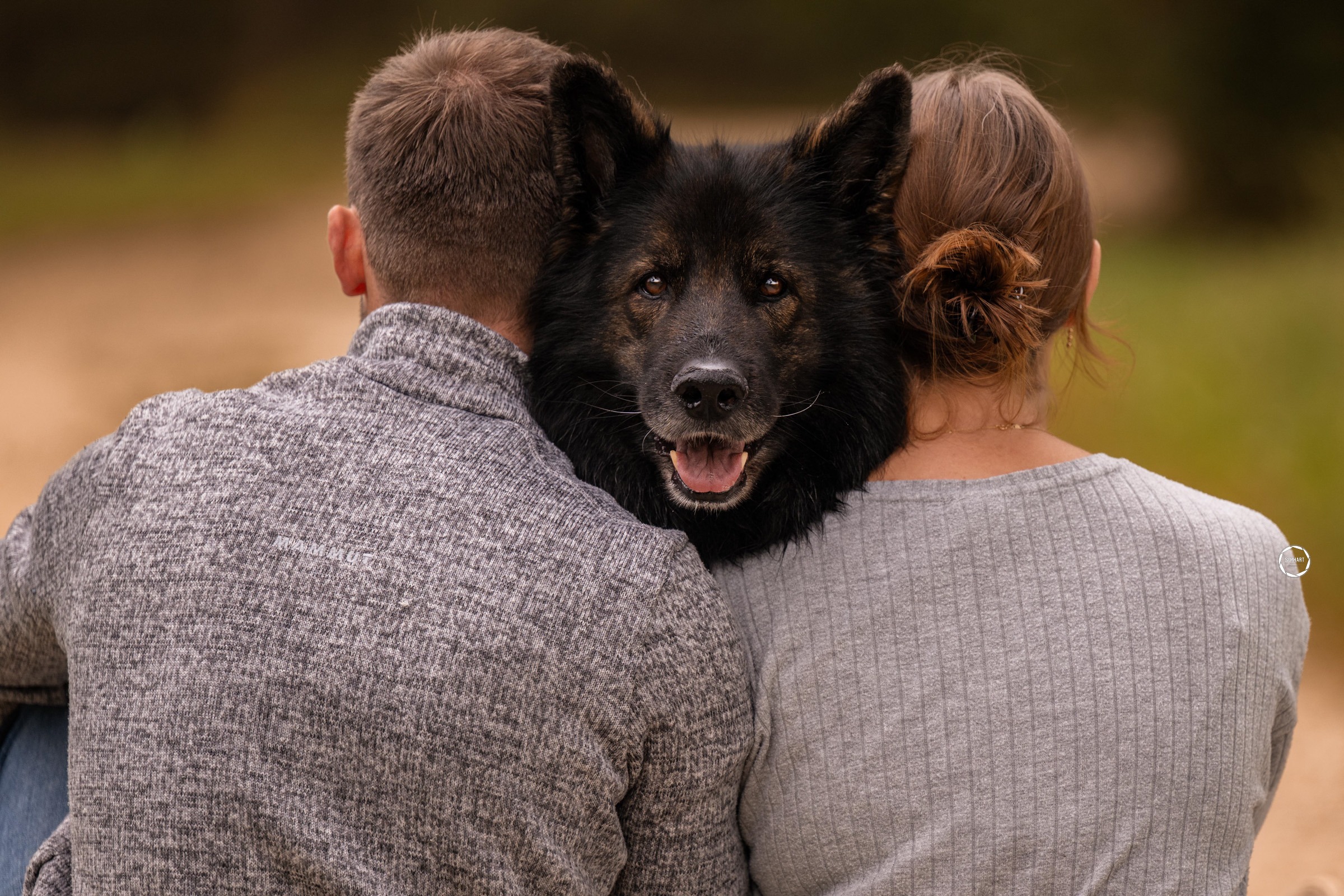 Sophart Photography Hunde Fotoshooting mit Besitzer