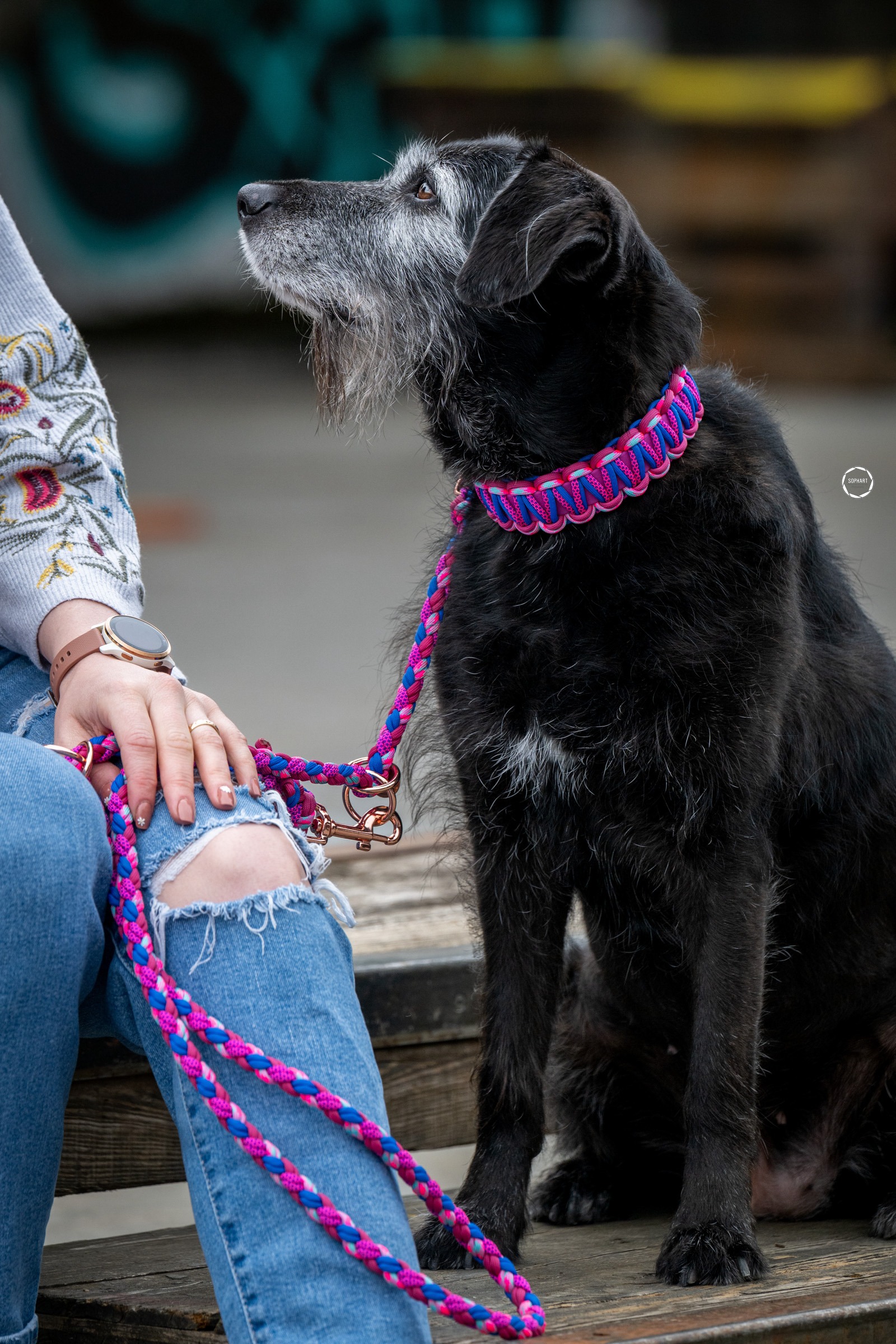 Hundefotografie Ivys Leinenwerkstatt Kooperation