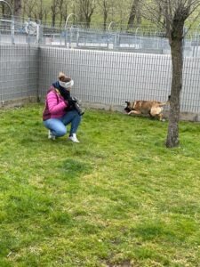 Hundefotografie Arme Pfoten Kooperation