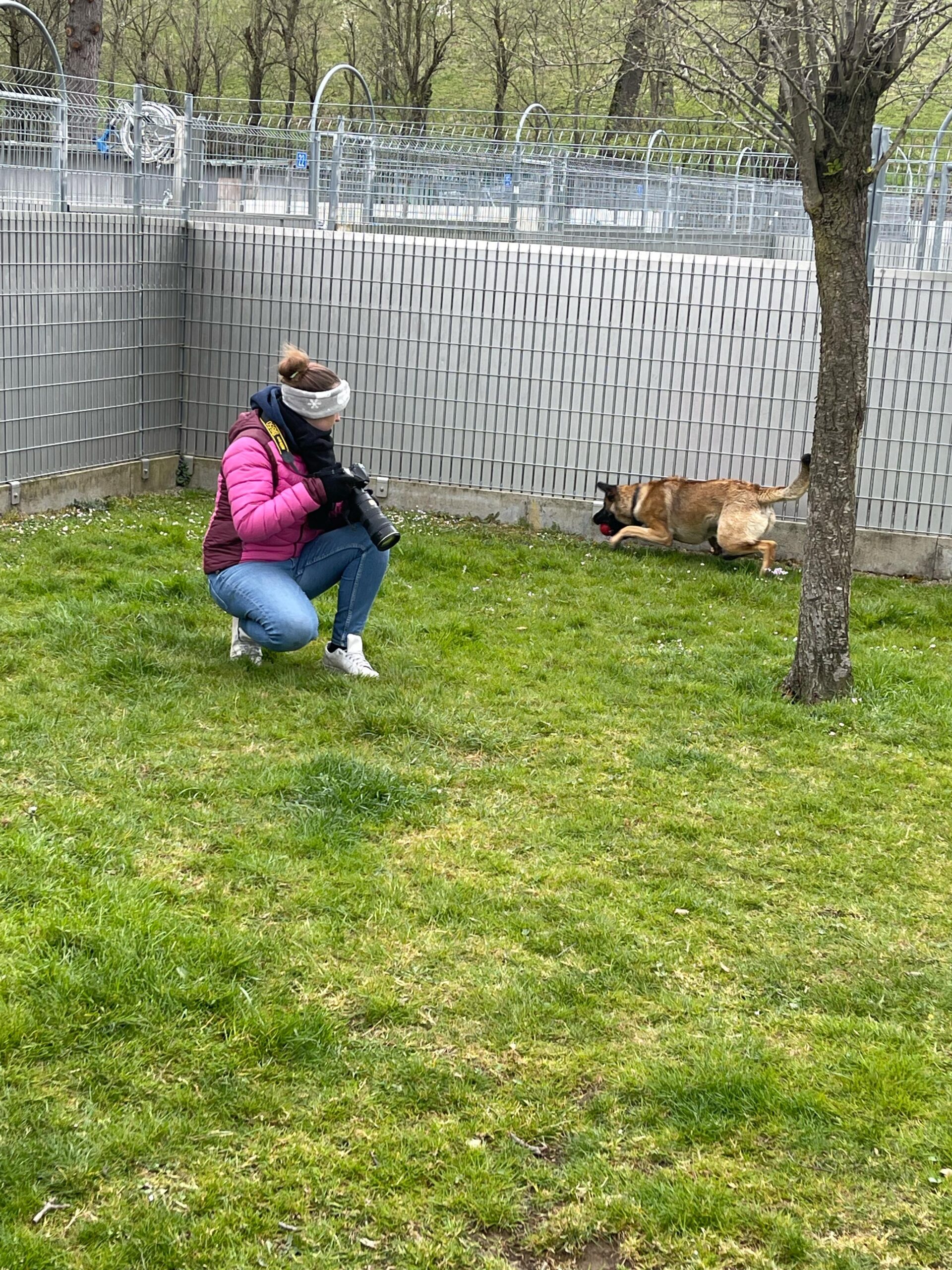 Hundefotografie Arme Pfoten Kooperation