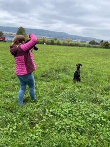 Hundefotografie Arme Pfoten Kooperation