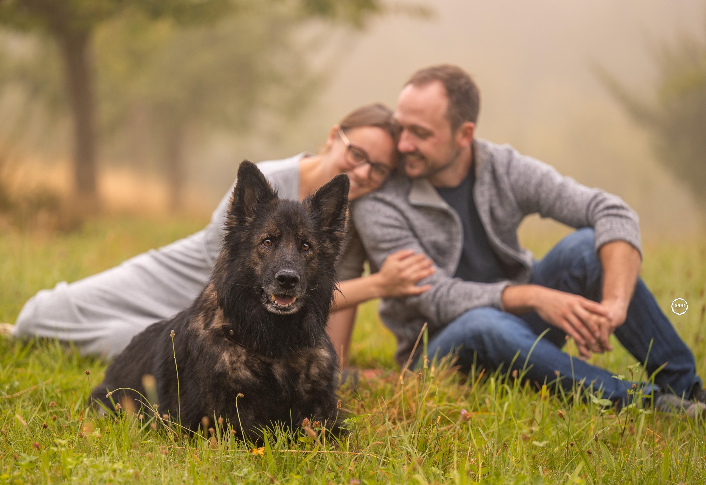 Sophart Photography Hunde Fotoshooting mit Besitzer