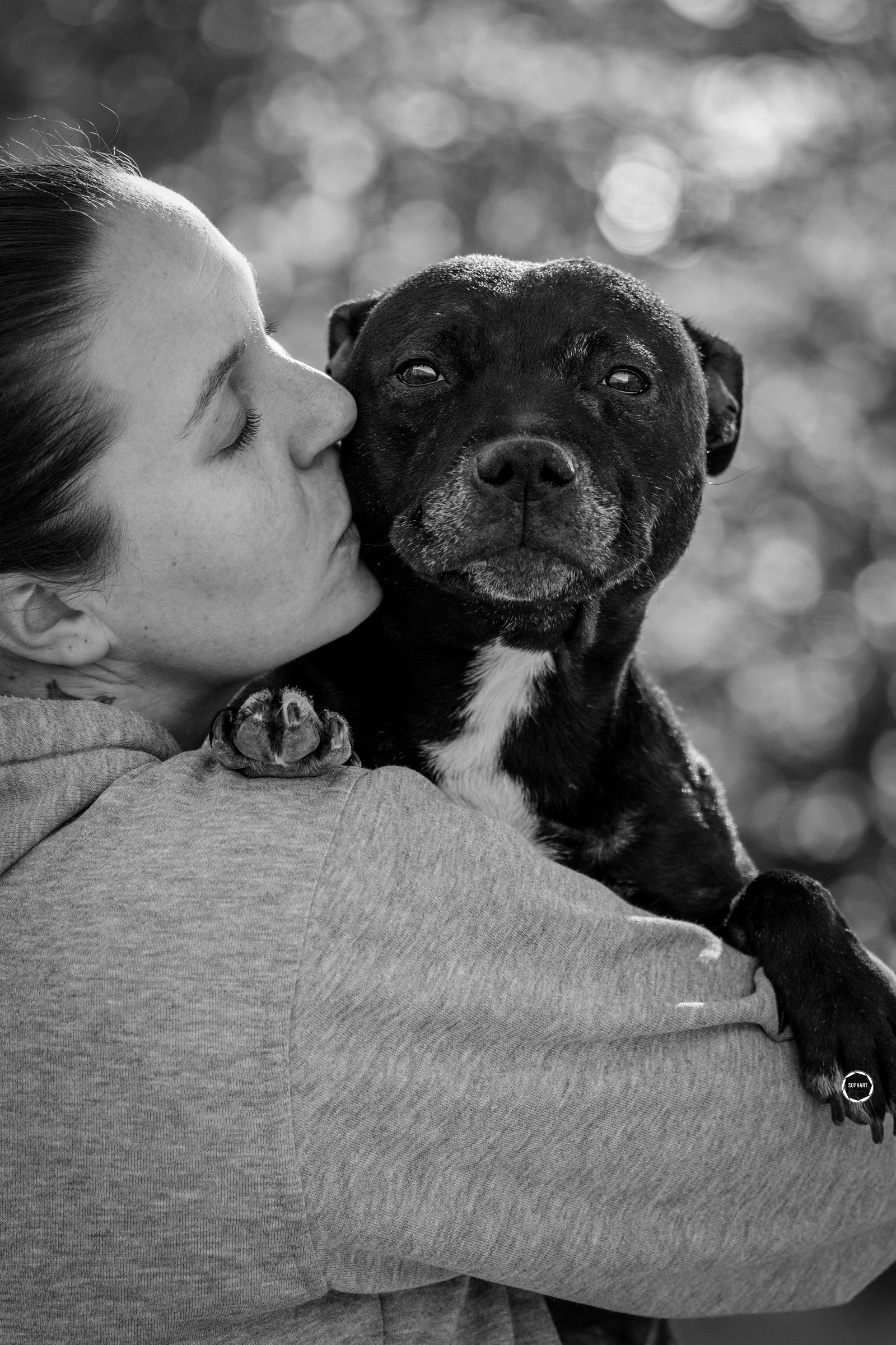 Sophart Photography Hunde Fotoshooting mit Besitzer