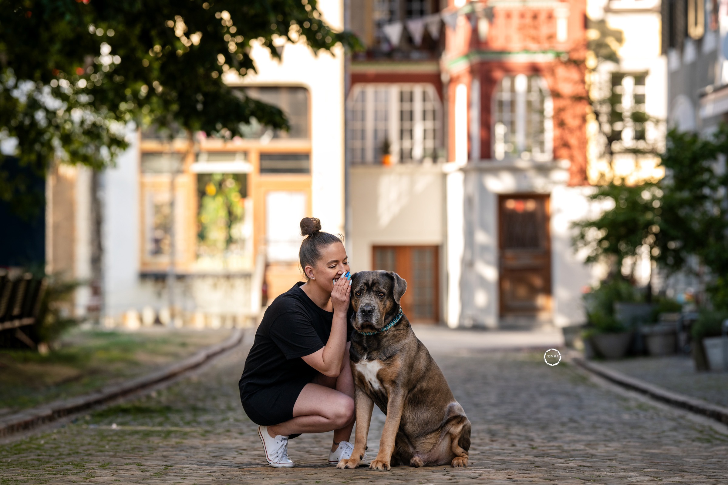 Sophart Photography Hunde Fotoshooting mit Besitzer