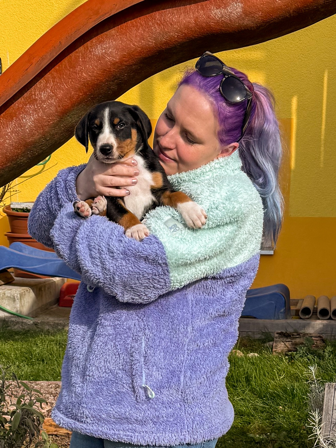 Sophart Photography Hunde Fotoshooting